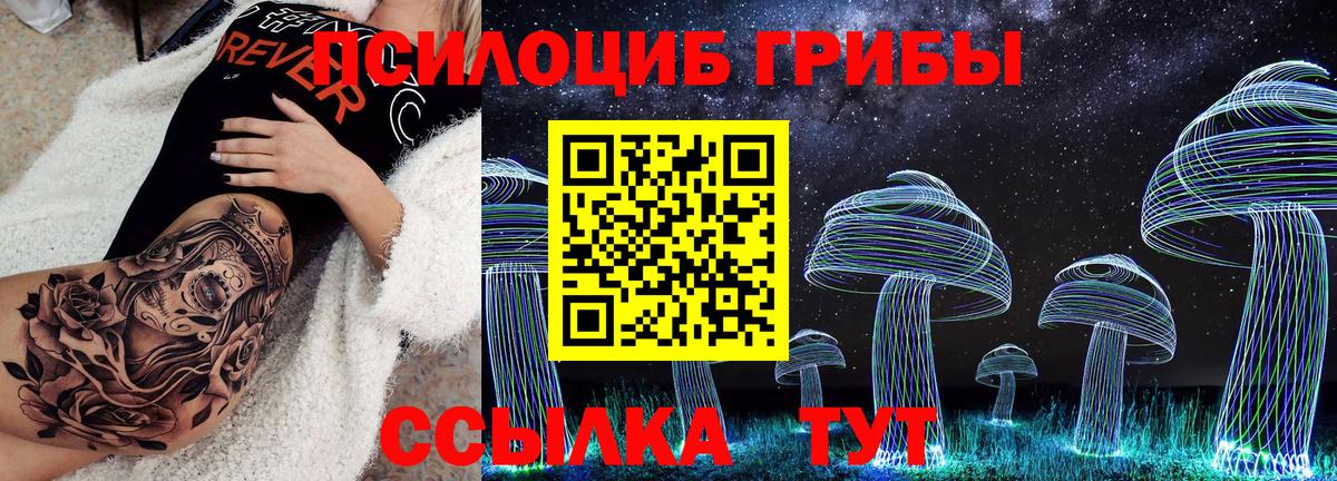 где купить наркоту  Вход с VPN  Псилоцибиновые грибы Cubensis  Когалым  Галлюциногенные грибы Cubensis 